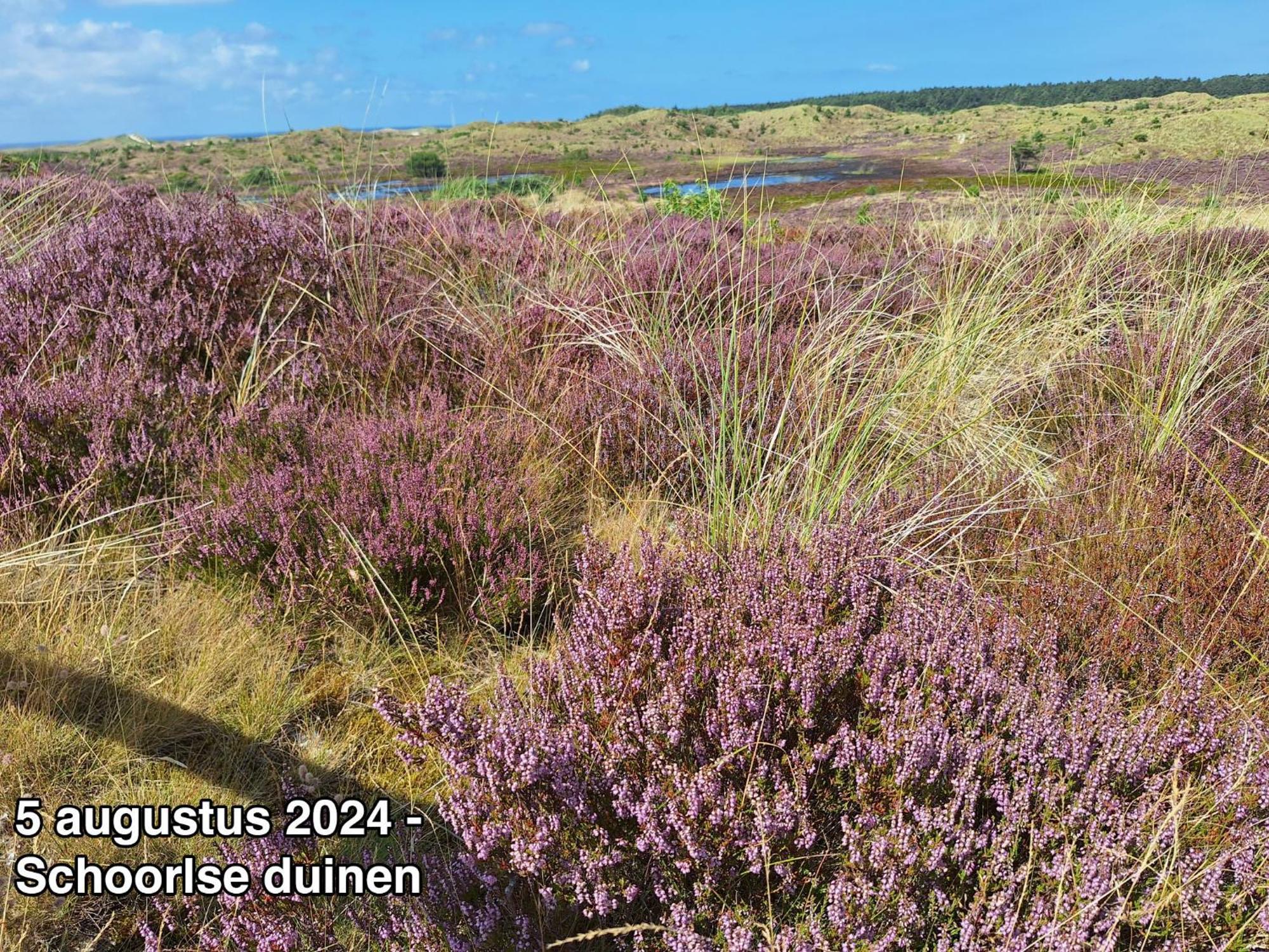 Groot Marquette - Noord Holland Aan Uw Voeten Warmenhuizen Екстер'єр фото